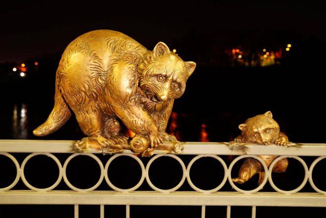 Новини Вінниці - фото з На Київському мосту поповнення. Там оселилася родина єнотів На Київському мосту поповнення. Там оселилася родина єнотів, фото №1 на сайті 20minut.ua