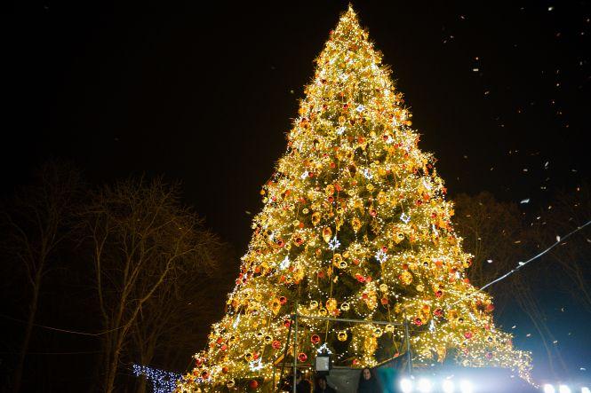 Новини Вінниці - фото з Вінницька ялинка потрапила до книги рекордів України Вінницька ялинка потрапила до книги рекордів України, фото №3 на сайті 20minut.ua
