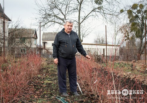Новини Хмельницького - фото з У теплицях на Хмельниччині вирощують ківі, лимони, лохину (ФОТО) У теплицях на Хмельниччині вирощують ківі, лимони, лохину (ФОТО), фото №1 на сайті vsim.ua