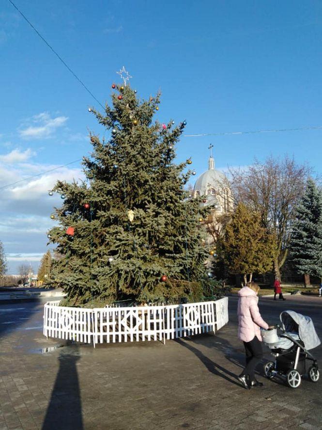 Новини Тернополя - фото з На Миколая засяяли вогні ялинки на бульварі Данила Галицького (фото) На Миколая засяяли вогні ялинки на бульварі Данила Галицького (фото), фото №1 на сайті 20minut.ua