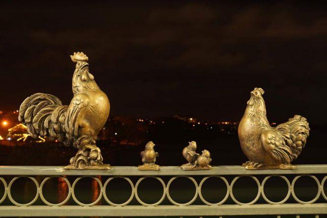 Новини Вінниці - фото з На Київському мосту знову поповнення: до пташиної родини приєдналися курчата На Київському мосту знову поповнення: до пташиної родини приєдналися курчата, фото №1 на сайті 20minut.ua