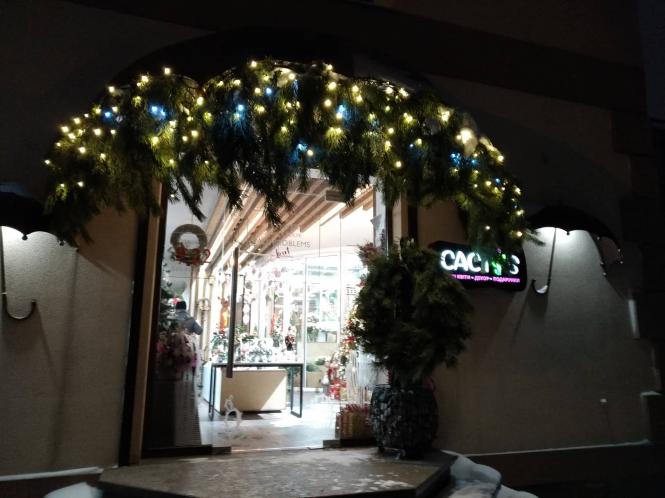 Новини Тернополя - фото з Тернопіль увечері неймовірний! ФОТОРЕПОРТАЖ Тернопіль увечері неймовірний! ФОТОРЕПОРТАЖ, фото №16 на сайті 20minut.ua