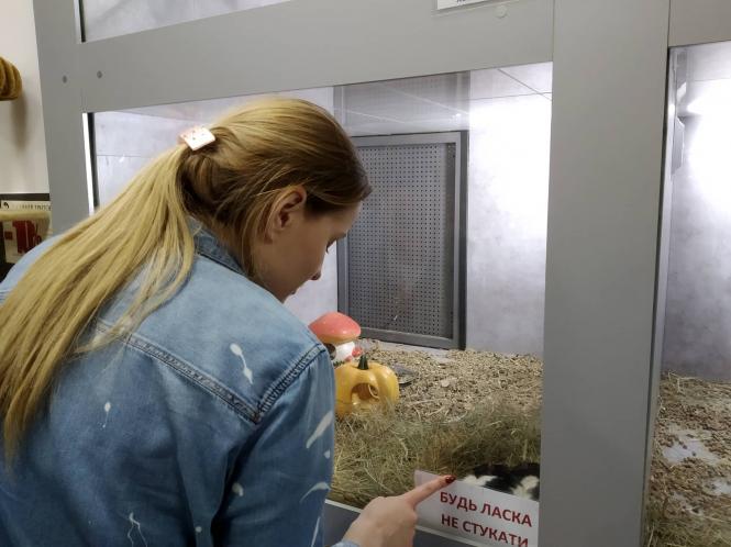 Новини Тернополя - фото з Який він, символ Нового року: де можна купити щурів та як за ними доглядати Який він, символ Нового року: де можна купити щурів та як за ними доглядати, фото №4 на сайті 20minut.ua