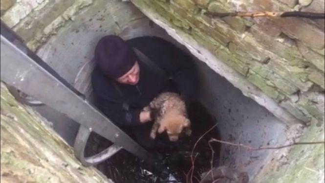 Перша врятована тварина у 2020 році. На Ватутіна з колодязя дістали собаку, фото №3 на сайті 20minut.ua