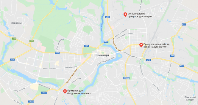 Як допомогти безпритульним тваринам? Сім способів, фото №4 на сайті 20minut.ua