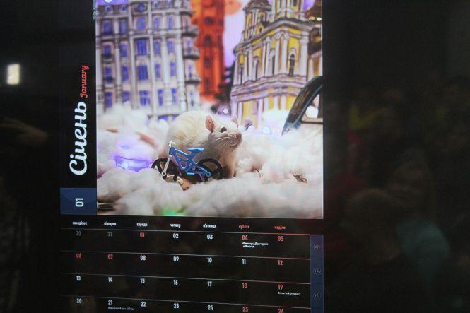 Новини Вінниці - фото з Коти та собаки на «залізних конях»: презентували велокалендар на 2020 рік Коти та собаки на «залізних конях»: презентували велокалендар на 2020 рік, фото №2 на сайті 20minut.ua