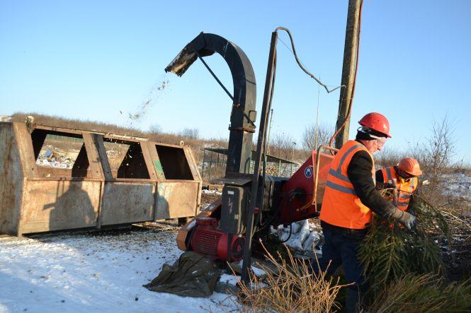 Друге життя новорічних красунь: як в Хмельницькому утилізують ялинки, фото №2 на сайті vsim.ua
