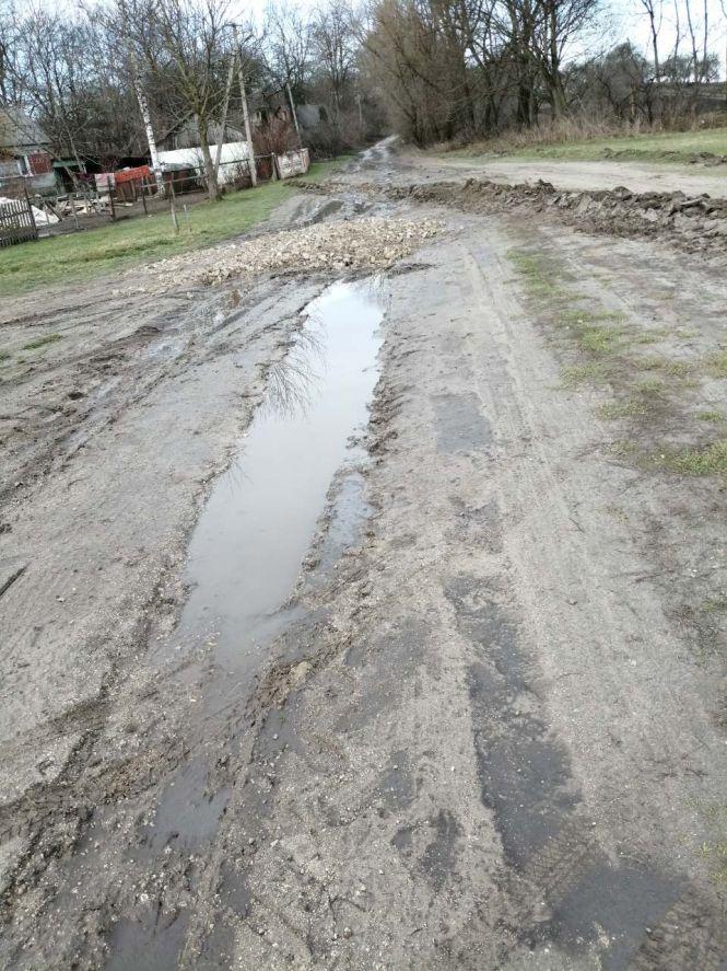«Переносимо дітей через рови»: жителі Тернопільщини скаржаться на дороги. Де ще є проблеми? ОПИТУВАННЯ, фото №2 на сайті 20minut.ua