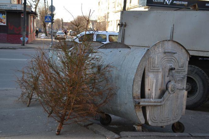 Друге життя новорічних красунь: як в Хмельницькому утилізують ялинки, фото №1 на сайті vsim.ua