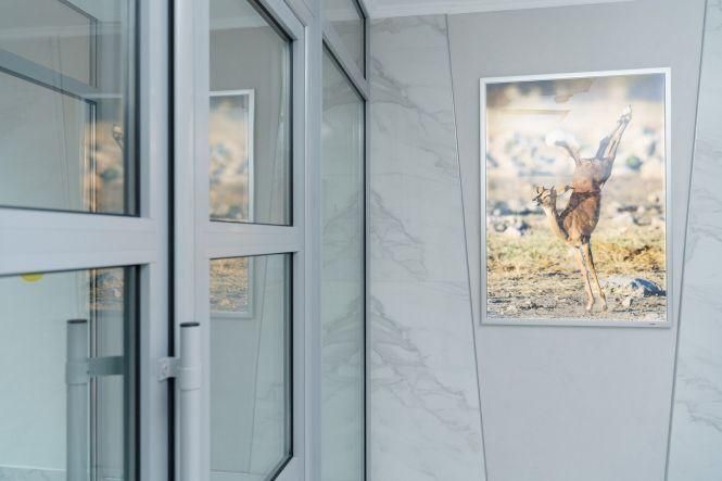 Новини Вінниці - фото з Відремонтували першу спортивну школу. Що там зробили? Відремонтували першу спортивну школу. Що там зробили?, фото №2 на сайті 20minut.ua