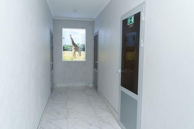 Новини Вінниці - фото з Відремонтували першу спортивну школу. Що там зробили? Відремонтували першу спортивну школу. Що там зробили?, фото №4 на сайті 20minut.ua