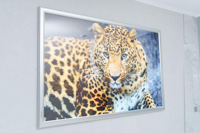 Новини Вінниці - фото з Відремонтували першу спортивну школу. Що там зробили? Відремонтували першу спортивну школу. Що там зробили?, фото №3 на сайті 20minut.ua