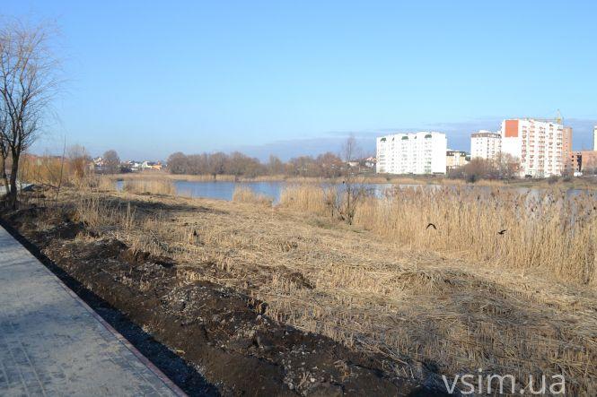 Озеро на Озерній хочуть почистити від очерету за майже 2 мільйона, фото №5 на сайті vsim.ua