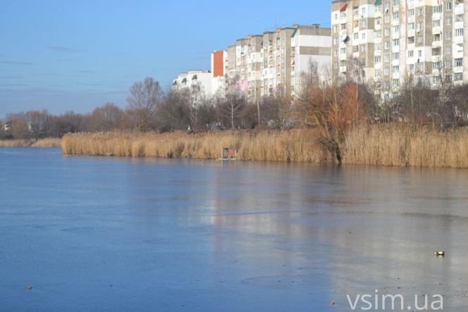 Озеро на Озерній хочуть почистити від очерету за майже 2 мільйона, фото №8 на сайті vsim.ua