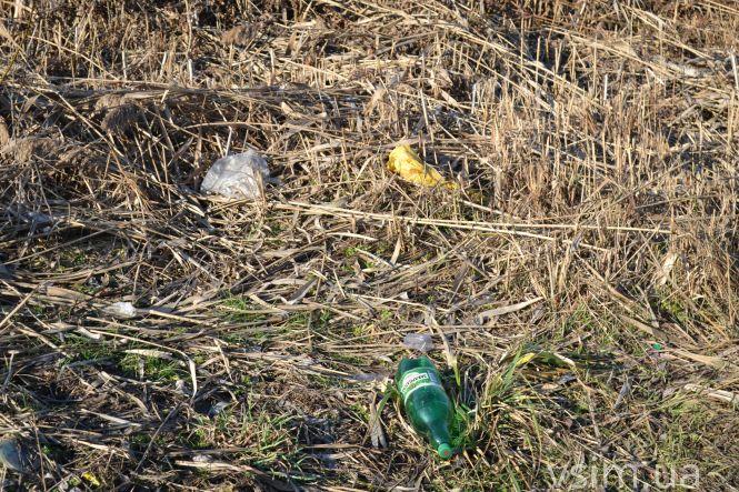 Озеро на Озерній хочуть почистити від очерету за майже 2 мільйона, фото №7 на сайті vsim.ua