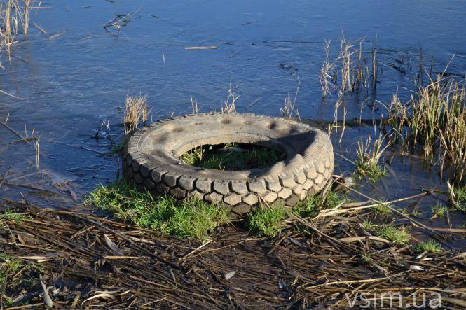 Озеро на Озерній хочуть почистити від очерету за майже 2 мільйона, фото №6 на сайті vsim.ua