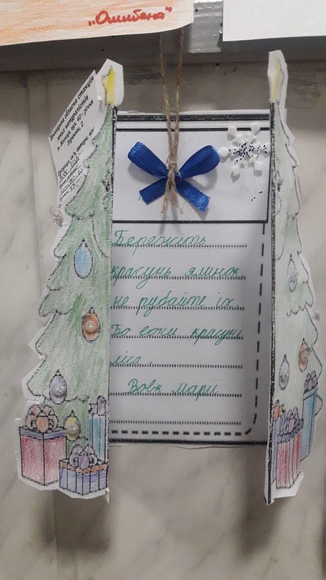 Новини Вінниці - фото з На Вінниччині завершилася операція «Ялинка без ялинки» На Вінниччині завершилася операція «Ялинка без ялинки», фото №3 на сайті 20minut.ua