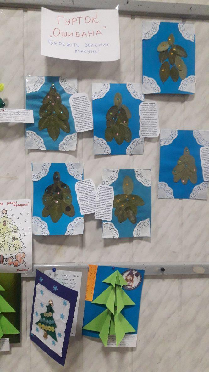 Новини Вінниці - фото з На Вінниччині завершилася операція «Ялинка без ялинки» На Вінниччині завершилася операція «Ялинка без ялинки», фото №1 на сайті 20minut.ua