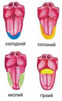 Новини Тернополя - фото з Тиждень без солі: чи реально відмовитись взагалі та що кажуть дієтологи. Експеримент "20 хвилин" Результат пошуку зображень за запитом "розташування рецепторів на язику"
