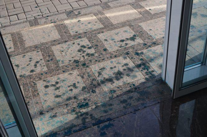 Новини Вінниці - фото з Біля вінницького адмінсуду зеленкою облили чоловіка. Хто він? Біля вінницького адмінсуду зеленкою облили чоловіка. Хто він?, фото №1 на сайті 20minut.ua