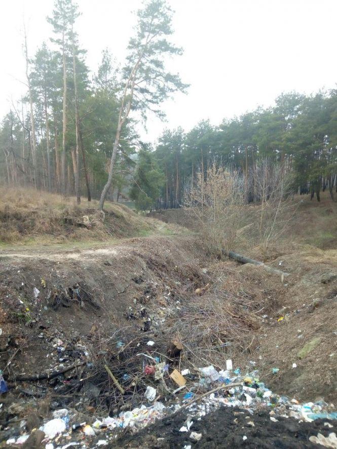Новини Житомира - фото з Житомир у смітті, а петиції - для вигляду: містяни скаржаться, що влада не реагує на їхні звернення Житомир у смітті, а петиції - для вигляду: містяни скаржаться, що влада не реагує на їхні звернення, фото №1 на сайті 20minut.ua