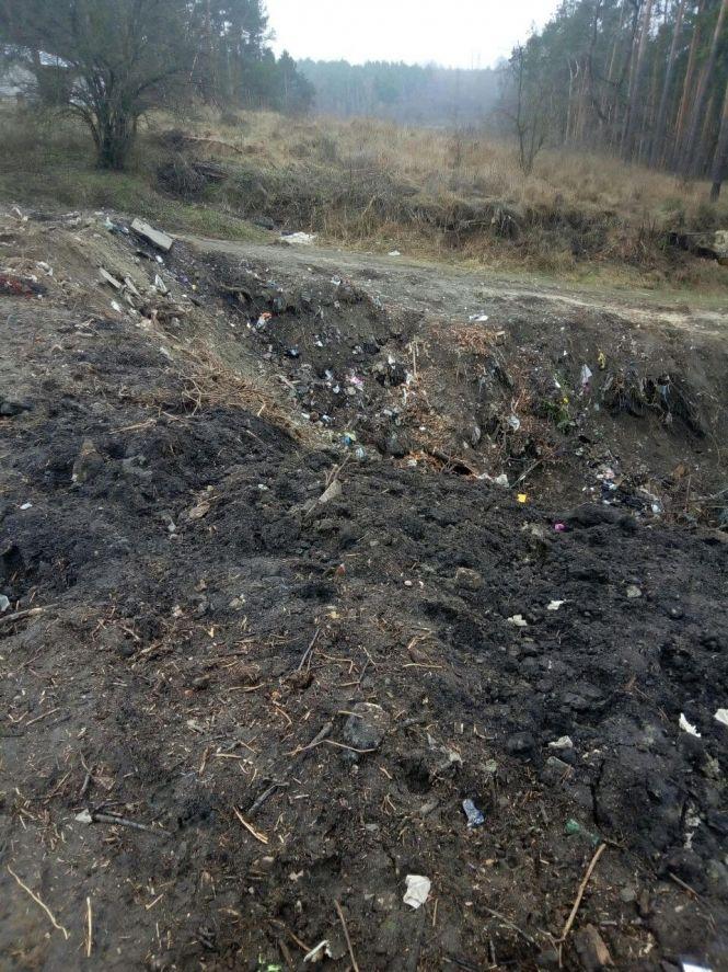 Новини Житомира - фото з Житомир у смітті, а петиції - для вигляду: містяни скаржаться, що влада не реагує на їхні звернення Житомир у смітті, а петиції - для вигляду: містяни скаржаться, що влада не реагує на їхні звернення, фото №2 на сайті 20minut.ua