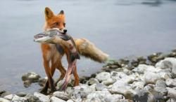 Новини Вінниці - фото з Він і Вона: Про що не варто забувати, коли ви разом Він і Вона: Про що не варто забувати, коли ви разом, фото №1 на сайті 20minut.ua