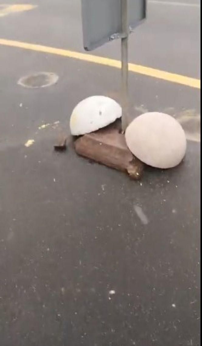 Новини Житомира - фото з Комунальники укріпили знаки, що попадали на майдані Соборному, напівсферами Комунальники укріпили знаки, що попадали на майдані Соборному, напівсферами, фото №2 на сайті 20minut.ua