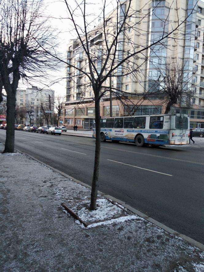 Новини Житомира - фото з Несподівана зима 23 січня: комунальники виявились не готові. ФОТО Несподівана зима 23 січня: комунальники виявились не готові. ФОТО, фото №1 на сайті 20minut.ua