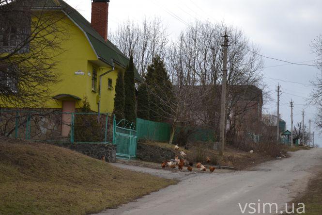 Чим живуть Давидківці, які хочуть об'єднати з Хмельницьким, фото №27 на сайті vsim.ua
