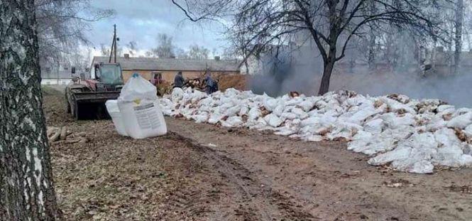 Новини Вінниці - фото з Спалах пташиного грипу: спалили понад 100 тисяч курей. ЄС призупинив імпорт Спалах пташиного грипу: спалили понад 100 тисяч курей. ЄС призупинив імпорт, фото №3 на сайті 20minut.ua