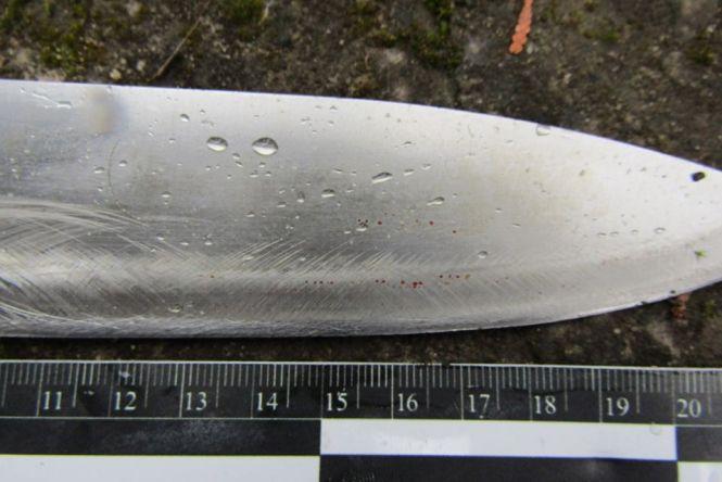 Вбивство у Кам'янці-Подільському: затримали підозрюваного у розправі над чоловіком, фото №1 на сайті vsim.ua