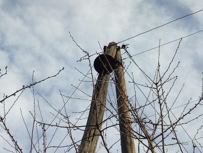 Темрява, сміття і бездоріжжя. Про проблеми «посьолка», фото №8 на сайті 20minut.ua
