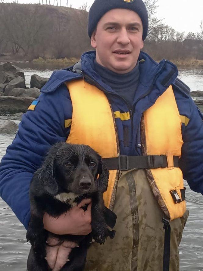 Новини Вінниці - фото з Порятунок чотирилапого «робінзона»: чорний песик два дні сидів на острівку Порятунок чотирилапого «робінзона»: чорний песик два дні сидів на острівку, фото №2 на сайті 20minut.ua