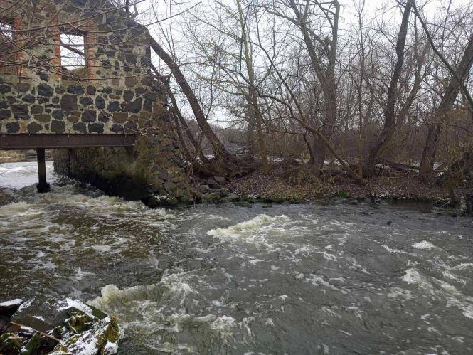 Новини Вінниці - фото з Порятунок чотирилапого «робінзона»: чорний песик два дні сидів на острівку Порятунок чотирилапого «робінзона»: чорний песик два дні сидів на острівку, фото №1 на сайті 20minut.ua