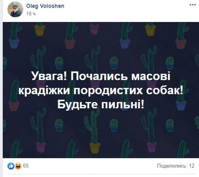 Новини Вінниці - фото з «Прикрути газ — врятуй собачку!» Соцмережі вибухнули мемами про продаж псів за газові борги «Прикрути газ — врятуй собачку!» Соцмережі вибухнули мемами про продаж псів за газові борги, фото №8 на сайті 20minut.ua