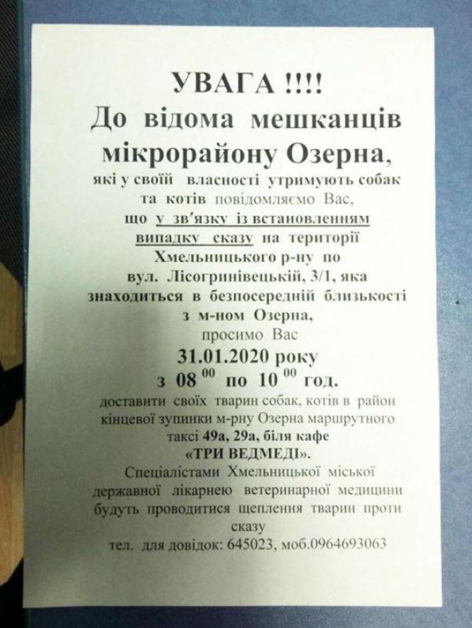 Нові тролейбуси, герої Крут та вакцинація чотирилапих: ТОП новини тижня у Хмельницькому, фото №4 на сайті vsim.ua
