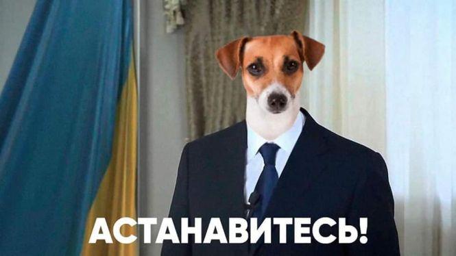 Новини Вінниці - фото з «Прикрути газ — врятуй собачку!» Соцмережі вибухнули мемами про продаж псів за газові борги «Прикрути газ — врятуй собачку!» Соцмережі вибухнули мемами про продаж псів за газові борги, фото №10 на сайті 20minut.ua