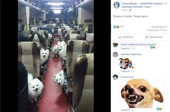 Новини Вінниці - фото з «Прикрути газ — врятуй собачку!» Соцмережі вибухнули мемами про продаж псів за газові борги «Прикрути газ — врятуй собачку!» Соцмережі вибухнули мемами про продаж псів за газові борги, фото №2 на сайті 20minut.ua