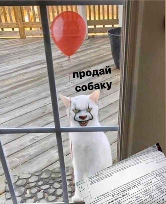 Новини Вінниці - фото з «Прикрути газ — врятуй собачку!» Соцмережі вибухнули мемами про продаж псів за газові борги «Прикрути газ — врятуй собачку!» Соцмережі вибухнули мемами про продаж псів за газові борги, фото №22 на сайті 20minut.ua