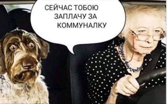 Новини Вінниці - фото з «Прикрути газ — врятуй собачку!» Соцмережі вибухнули мемами про продаж псів за газові борги «Прикрути газ — врятуй собачку!» Соцмережі вибухнули мемами про продаж псів за газові борги, фото №15 на сайті 20minut.ua