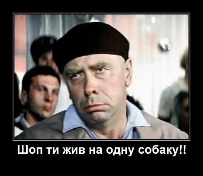 Новини Вінниці - фото з «Прикрути газ — врятуй собачку!» Соцмережі вибухнули мемами про продаж псів за газові борги «Прикрути газ — врятуй собачку!» Соцмережі вибухнули мемами про продаж псів за газові борги, фото №25 на сайті 20minut.ua