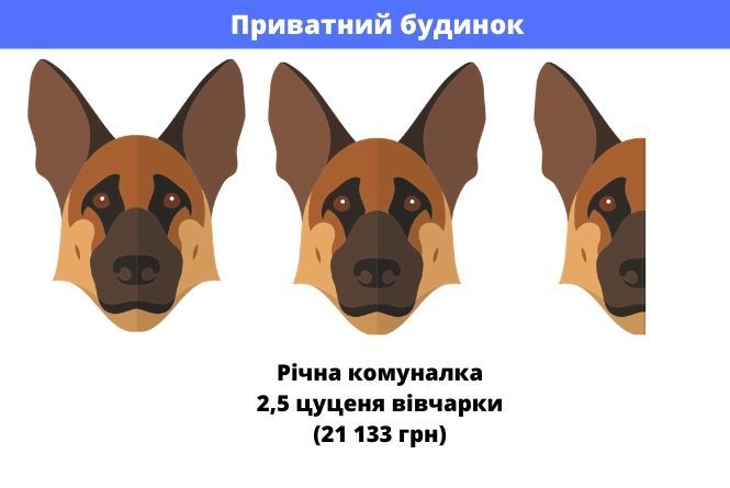 Новини Вінниці - фото з Ми порахували. Скільки треба собак, щоб заплатити за всю комуналку? Ми порахували. Скільки треба собак, щоб заплатити за всю комуналку?, фото №2 на сайті 20minut.ua