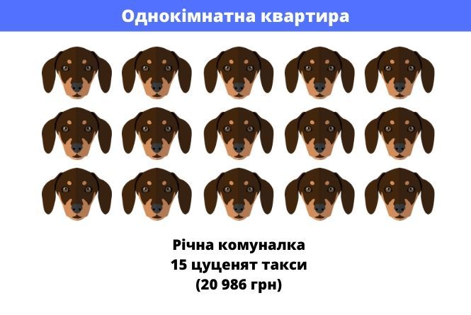 Новини Вінниці - фото з Ми порахували. Скільки треба собак, щоб заплатити за всю комуналку? Ми порахували. Скільки треба собак, щоб заплатити за всю комуналку?, фото №1 на сайті 20minut.ua