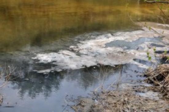 Підприємство на Тернопільщині начхало на рішення суду та продовжує скидати відходи у річку, фото №1 на сайті 20minut.ua