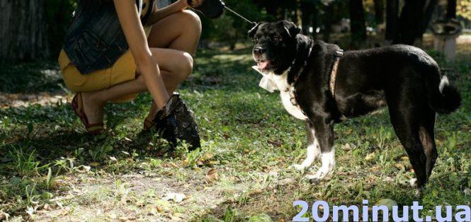 Новини Тернополя - фото з "Вчепився в лице і не відпускав": постраждала  дитина. Чи в безпеці тернополяни поруч з тваринами "Вчепився в лице і не відпускав": постраждала  дитина. Чи в безпеці тернополяни поруч з тваринами, фото №3 на сайті 20minut.ua