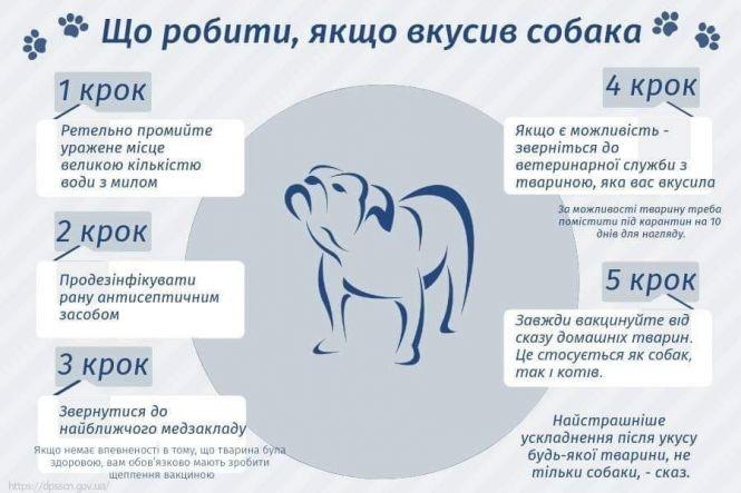 Новини Тернополя - фото з "Вчепився в лице і не відпускав": постраждала  дитина. Чи в безпеці тернополяни поруч з тваринами "Вчепився в лице і не відпускав": постраждала  дитина. Чи в безпеці тернополяни поруч з тваринами, фото №5 на сайті 20minut.ua