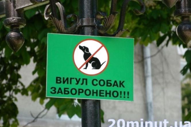 Новини Тернополя - фото з "Вчепився в лице і не відпускав": постраждала  дитина. Чи в безпеці тернополяни поруч з тваринами "Вчепився в лице і не відпускав": постраждала  дитина. Чи в безпеці тернополяни поруч з тваринами, фото №2 на сайті 20minut.ua