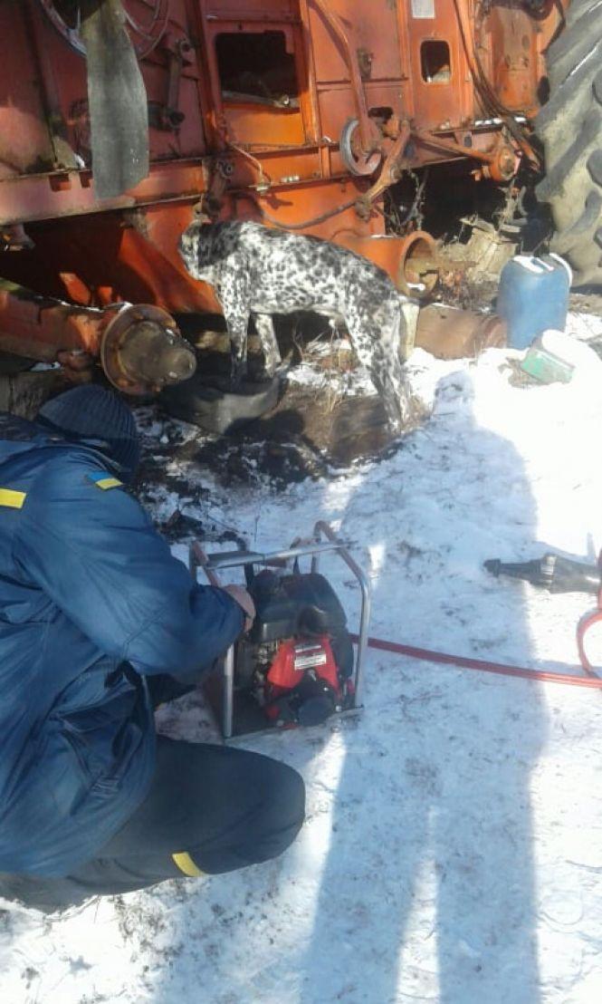 Новини Вінниці - фото з Заліз у шнек комбайна та скавчав. Як звільняли чотирилапого рятувальники Заліз у шнек комбайна та скавчав. Як звільняли чотирилапого рятувальники, фото №2 на сайті 20minut.ua