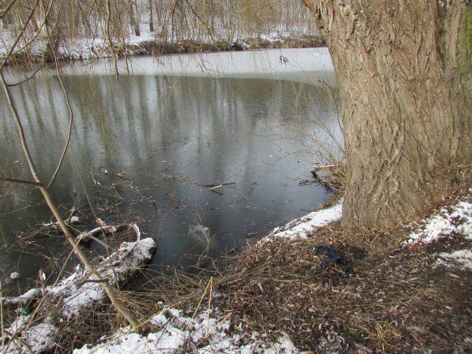 Новини Козятина - фото з Замерзаючого у воді козятинчанина врятували від смерті школярі. Подробиці з перших вуст Замерзаючого у воді козятинчанина врятували від смерті школярі. Подробиці з перших вуст, фото №1 на сайті 20minut.ua